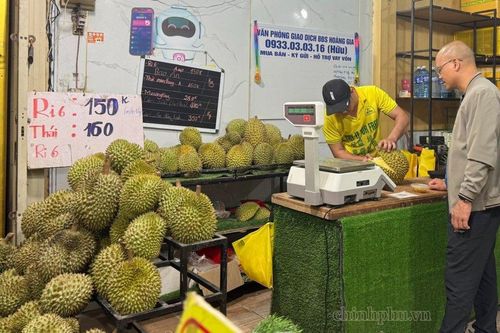 Sầu riêng Việt Nam: Giữ chất lượng, giữ thị trường để bảo đảm chỗ đứng