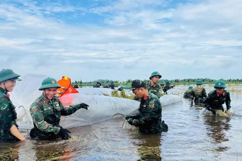 Bộ đội ngâm mình trong nước gặt lúa giúp dân chạy ngập