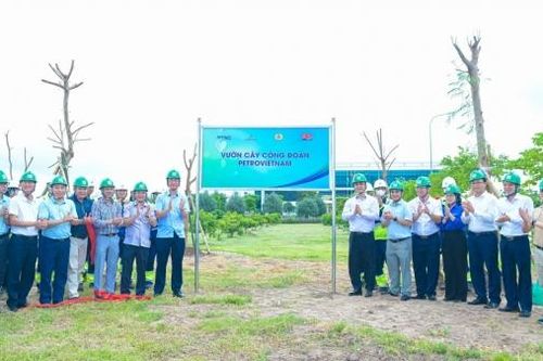 Vườn cây Công đoàn PETROVIETNAM: Mở rộng không gian xanh tại NMNĐ Thái Bình 2