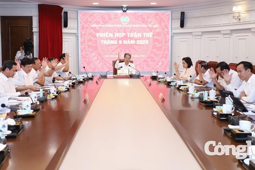 Hội đồng Thẩm phán thông qua 3 án lệ
