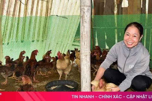 Chăm lo an sinh, tiếp sức người dân phường Nam Hồng Lĩnh