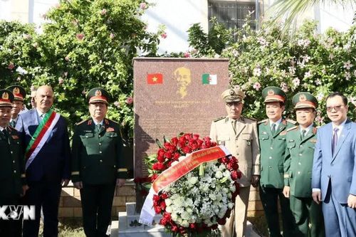 Việt Nam và Algeria thúc đẩy hợp tác quốc phòng