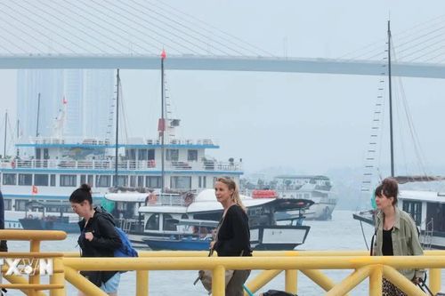 Ngày Du lịch thế giới 2026: Động lực mới cho du lịch Quảng Ninh