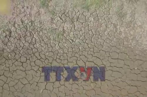 Thái Lan tăng dự trữ gạo ứng phó El Nino