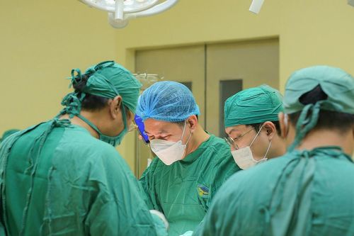 Trèo cây hái quả, người phụ nữ nguy kịch