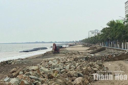 Dự án kè biển Hải Tiến gặp khó do thiếu nguồn vật liệu đá hộc