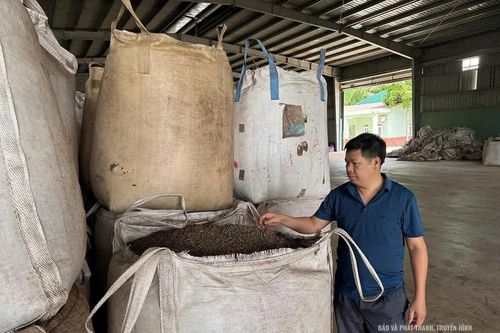 Linh Sơn trồng rừng gắn với chế biến