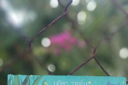 Hành trình trở về cánh đồng