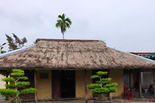 Ngược theo dấu chân cụ Huỳnh