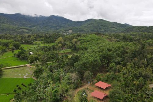 Trên quê hương cụ Huỳnh hôm nay