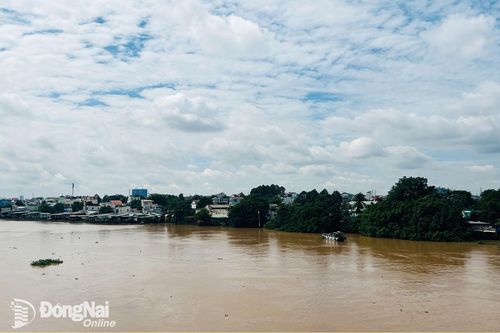 Đồng Nai: Cảnh báo nhiều khu vực có nguy cơ ngập do lũ, triều cường