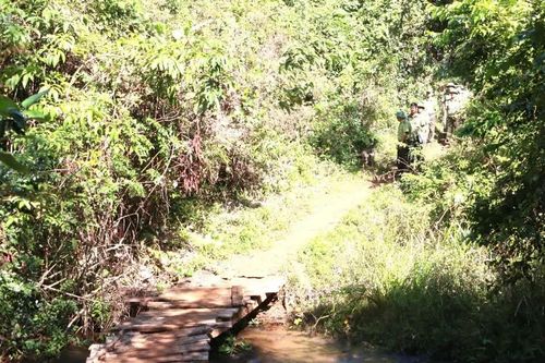 Thu hồi hơn 115 ha đất tại xã Pờ Tó, giao địa phương quản lý