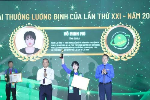 Đánh thức giá trị cây quế giữa đại ngàn