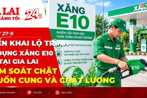 Toàn cảnh Gia Lai 24h: Triển khai lộ trình sử dụng xăng E10 tại Gia Lai, kiểm soát chặt nguồn cung và chất lượng