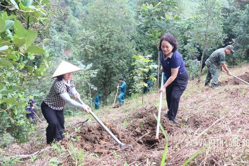 Xã Đồng Đăng hỗ trợ người dân chuẩn bị điều kiện trồng cây mắc ca