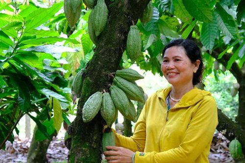 Xã Đạ Tẻh 2 tăng tốc, góp sức vào mục tiêu tăng trưởng '2 con số'
