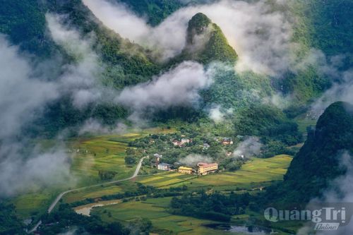 Phong Nha mạch sống của rừng già