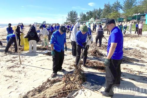 Chung tay thu gom rác thải, vệ sinh môi trường