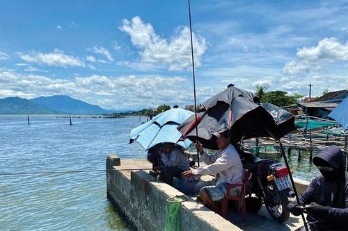 'Săn' cá kình dưới chân cầu Tư Hiền