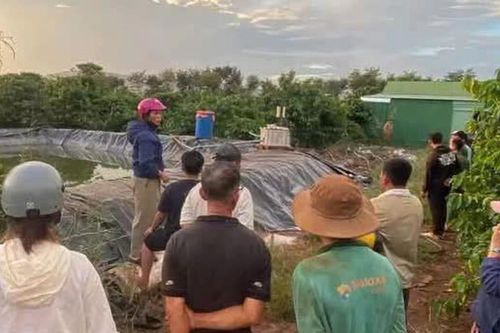 Gia Lai: Hai nữ sinh lớp 6 đuối nước trong hồ trải bạt chứa nước tưới nông nghiệp