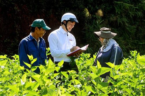 Tháo gỡ nút thắt tài sản bảo đảm trong vay vốn nông nghiệp