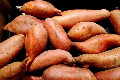 Luộc khoai lang cứ tưởng phải cho đường mới ngọt, ai ngờ đây mới là thứ khiến khoai ngon, bở tung, nhìn là thèm