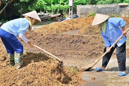 Biến phụ phẩm nông nghiệp thành nguồn lực sản xuất