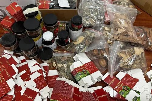 Lừa bán 'thuốc nam gia truyền' chữa khối u: Khởi tố 8 đối tượng