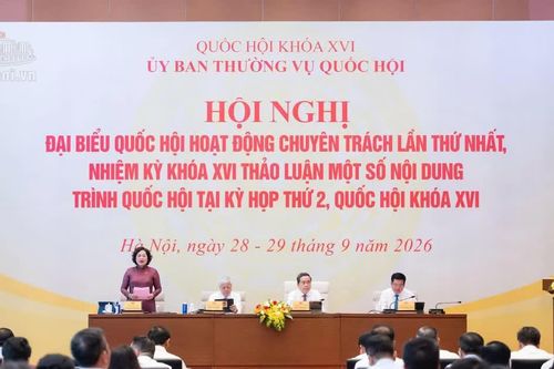 Đề nghị cân nhắc quy định miễn thuế 3 năm đối với doanh nghiệp nhỏ và vừa, không để lợi dụng chính sách