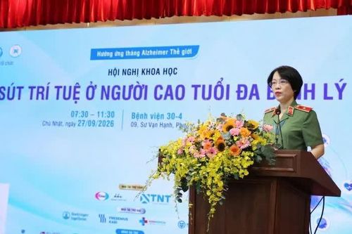 Sa sút trí tuệ ở người Việt Nam thường kèm đa bệnh lý