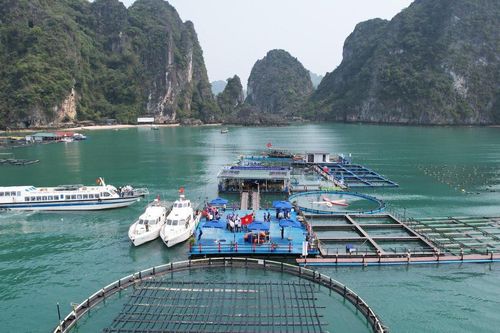Chuyển từ nghiên cứu sang làm chủ công nghệ biển - Bài 1: Cần một 'bức tranh số' đầy đủ về biển