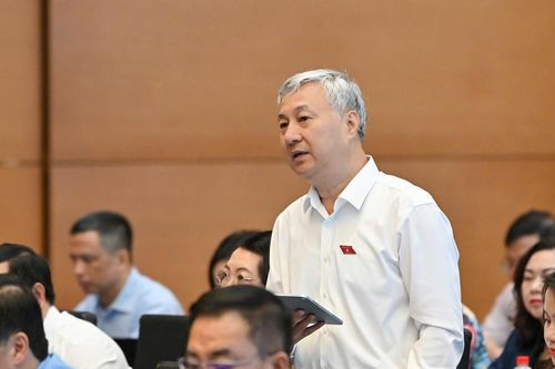Miễn thuế thu nhập đối với doanh nghiệp nhỏ và vừa trong 3 năm để doanh nghiệp 'từng bước lớn lên'