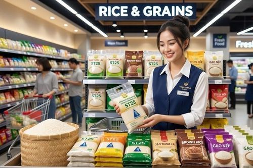 Giá lúa gạo hôm nay 28.9.2026: Thị trường chờ nguồn lúa Thu Đông