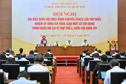 Không miễn trừ trách nhiệm với hành vi cố ý vi phạm, lừa đảo, trục lợi trong chứng khoán