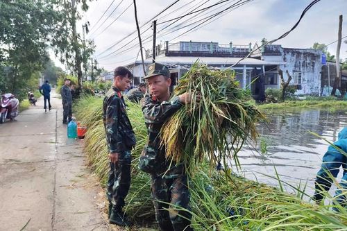 Cán bộ, chiến sĩ xã Vĩnh Thuận hỗ trợ người dân thu hoạch lúa ngập úng
