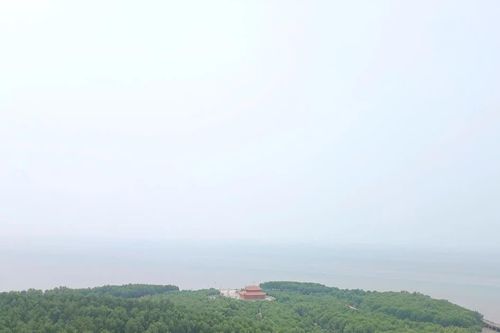 Bảo vệ, phát huy tiềm năng hệ sinh thái rừng miền đất cực nam