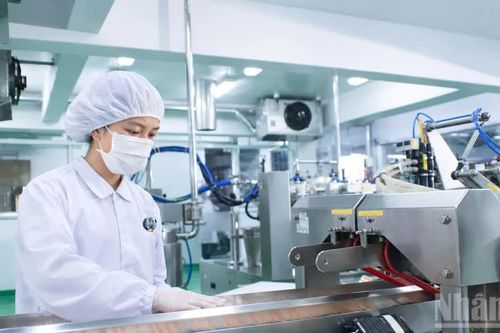 Tích cực triển khai dự án Luật sửa đổi, bổ sung Luật Bảo hiểm xã hội