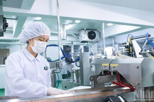 Thành phố Hồ Chí Minh: Giữ đà tăng trưởng, mở rộng động lực cuối năm