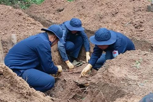An Giang: Quy tập 5 hài cốt liệt sĩ từ nguồn tin do nhân dân cung cấp