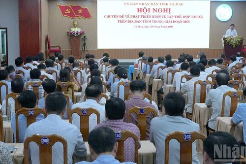 Kinh tế tập thể Cà Mau trước yêu cầu làm mới chính mình