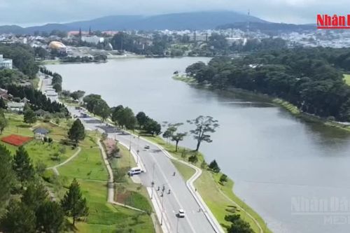 [Video] Thi công sửa chữa kè chống sạt lở cho hồ Xuân Hương Đà Lạt