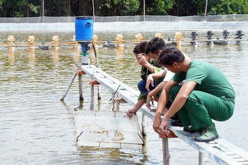 Trung đoàn 10, Bộ tư lệnh TP Hồ Chí Minh tăng gia sản xuất ứng dụng công nghệ cao