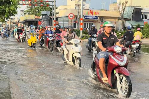 Huy động lực lượng gia cố bờ bao, ứng phó triều cường