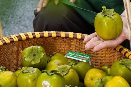 Hồng da tre Thái Nguyên chạm mốc 200.000 đồng/kg vẫn đắt hàng