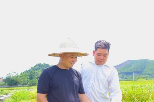 Từ vốn vay đến những mô hình sinh kế hiệu quả ở Yên Sơn