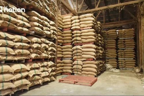 Thái Lan lên kế hoạch tăng dự trữ gạo, dầu cọ ứng phó El Niño