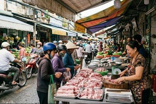 Giá heo hơi hôm nay 28/9: Giảm nhanh trên cả 3 miền, dao động trong khoảng 56.000 - 59.000 đồng/kg
