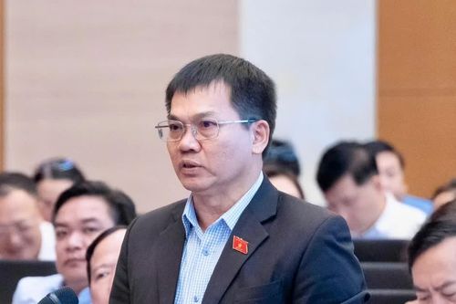 Đại biểu Quốc hội đề nghị không áp dụng đồng loạt xác thực điện tử với mọi giao dịch