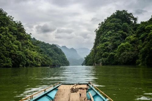 Tôi đã sống quá nhiều cho những điều chưa đến