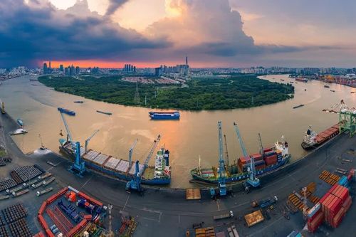 VietinBank lần thứ 5 bán cổ phiếu Cảng Sài Gòn